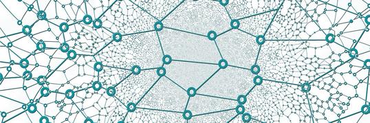 Network